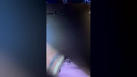 exotico202720 online show from 05-31-26, 03:26