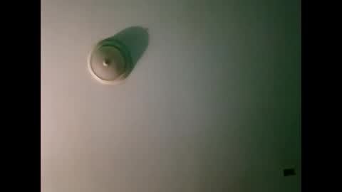 experttreecompany online show from 03-21-26, 10:31