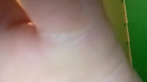 experttreecompany online show from 04-10-26, 04:55