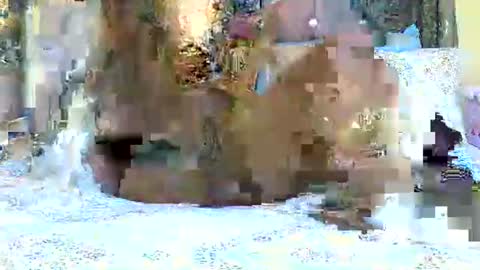 Snapshot of explicitly_certified chatting on 03-03-25, 07:49 explicitly_certified online show from 03-03-25, 07:49