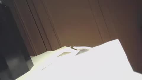 EZCODA online show from 12-20-24, 02:19