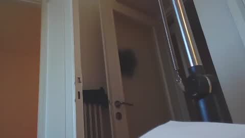 EZCODA online show from 01-14-25, 02:43