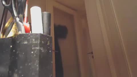 EZCODA online show from 01-26-25, 10:57