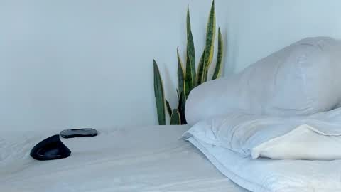 -  A N D E R online show from 11-09-25, 02:04