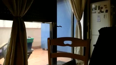 Fabro online show from 02-23-25, 09:22