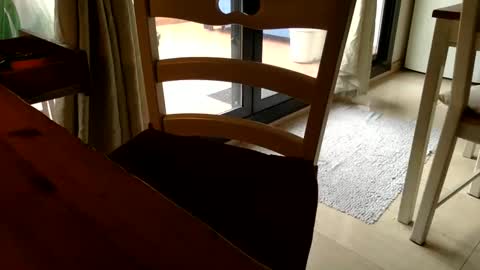 Fabro online show from 03-06-25, 03:13