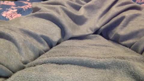 Snapshot of facedownassup219267 chatting on 01-25-25, 08:42 facedownassup219267 online show from 01-25-25, 08:42