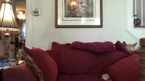 Snapshot of fairmount31 chatting on 10-21-25, 01:56 fairmount31 online show from 10-21-25, 01:56