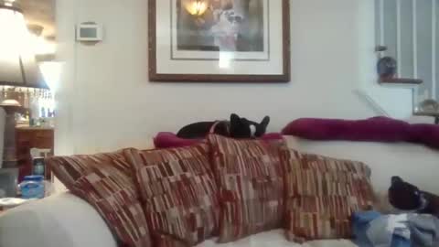 fairmount31 online show from 11-12-25, 04:51