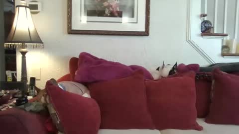 fairmount31 online show from 02-13-26, 01:51