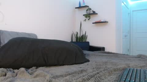 Fallon Gray online show from 03-08-25, 11:28