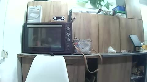 hausewife online show from 05-06-26, 07:41