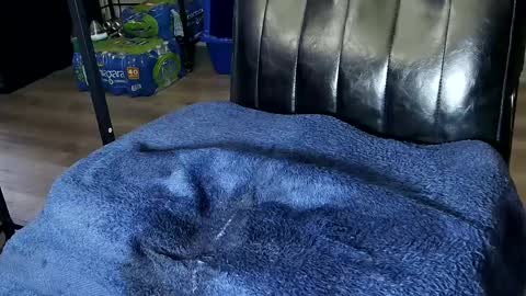 Snapshot of fat_fabulous1981 chatting on 02-01-25, 12:51 Sarah online show from 02-01-25, 12:51