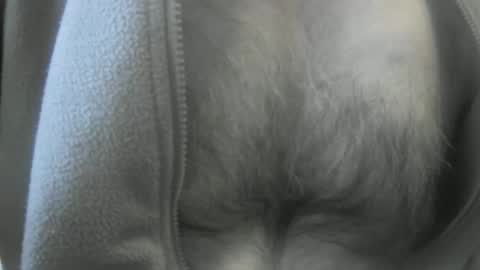 Snapshot of feardubh chatting on 01-19-25, 03:53 feardubh online show from 01-19-25, 03:53