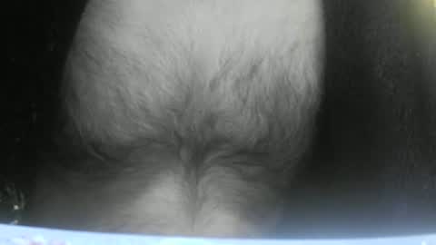 Snapshot of feardubh chatting on 02-10-25, 09:04 feardubh online show from 02-10-25, 09:04