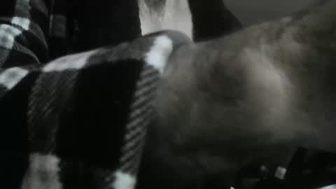 Snapshot of feardubh chatting on 10-31-25, 09:43 feardubh online show from 10-31-25, 09:43