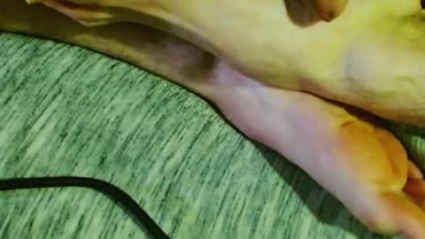 ask me online show from 01-30-25, 01:44