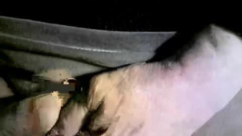 felicaste online show from 02-17-25, 04:20