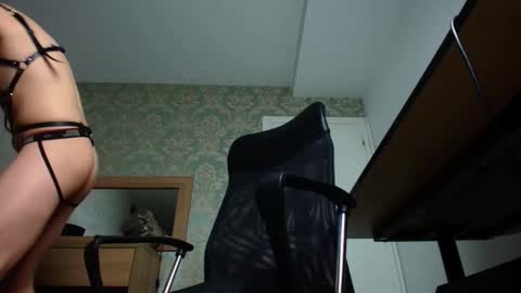 Snapshot of felixstark chatting on 10-20-25, 04:13 FelixStark online show from 10-20-25, 04:13