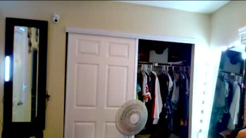 Allie North online show from 12-11-24, 08:04