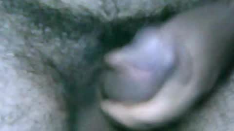 Snapshot of fer_2197 chatting on 12-28-24, 01:17 fer_2197 online show from 12-28-24, 01:17