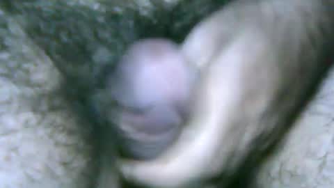 Snapshot of fer_2197 chatting on 01-27-25, 09:55 fer_2197 online show from 01-27-25, 09:55