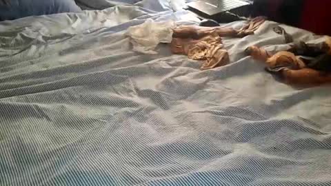 Snapshot of ffst0ckings chatting on 12-25-24, 07:56 ffst0ckings online show from 12-25-24, 07:56