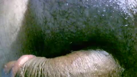 filedbc2024 online show from 03-09-25, 04:49