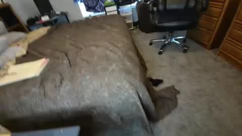 filfaonyx online show from 11-04-25, 05:12