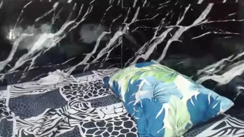 filipinabigcock online show from 12-14-24, 06:56