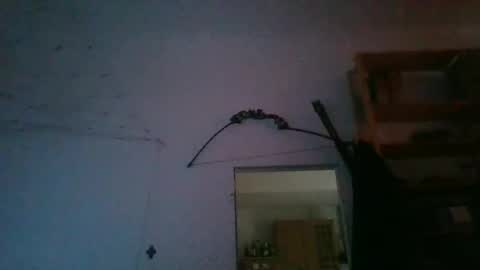 fine_nice online show from 01-27-25, 09:55