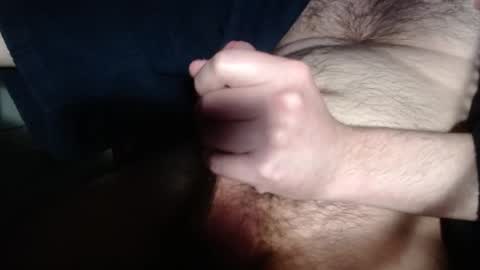 Snapshot of fish4198 chatting on 12-31-24, 11:31 hairycub online show from 12-31-24, 11:31