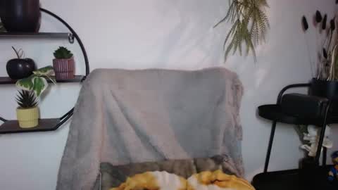 Snapshot of fitness1989 chatting on 07-20-26, 08:55 fitness1989 online show from 07-20-26, 08:55
