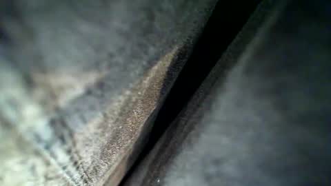 Snapshot of flash1372 chatting on 02-28-26, 04:13 flash online show from 02-28-26, 04:13