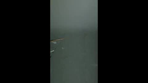 flavianflavius33 online show from 04-28-26, 04:39