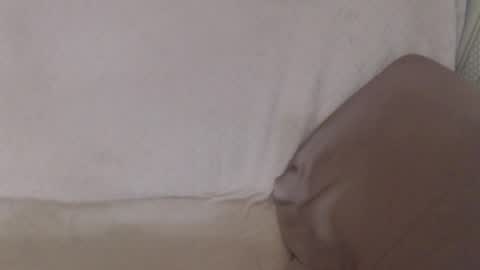 Snapshot of flowercandydoll13 chatting on 07-12-26, 12:18 say meow and send tip online show from 07-12-26, 12:18