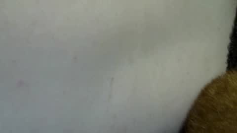Snapshot of flufferbutt2 chatting on 04-04-26, 10:24 flufferbutt2 online show from 04-04-26, 10:24