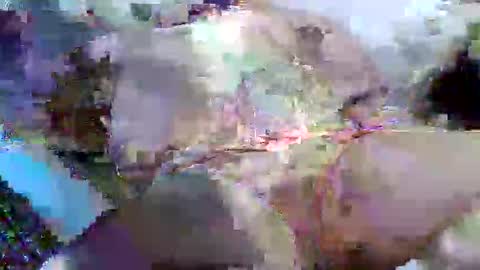 Snapshot of flufferbutt2 chatting on 04-14-26, 05:13 flufferbutt2 online show from 04-14-26, 05:13