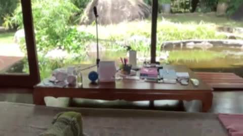 fluffy_bunnyxxx online show from 02-21-25, 05:13