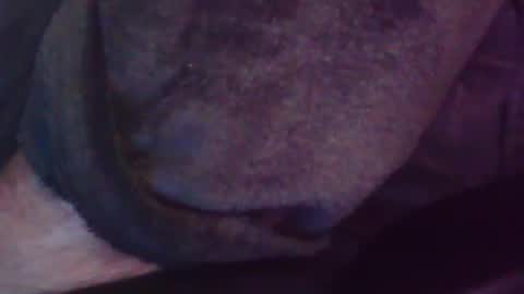Snapshot of foolmonty chatting on 07-28-26, 01:12 Hooz2no online show from 07-28-26, 01:12