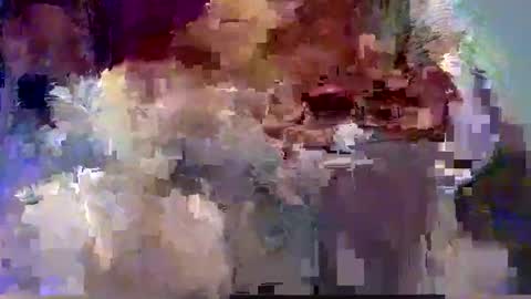 forest133 online show from 12-12-24, 07:59