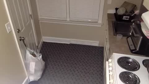 Snapshot of foxdarling96 chatting on 12-20-25, 05:36 foxdarling96 online show from 12-20-25, 05:36