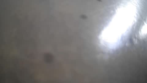 frank_sweetdick online show from 05-13-26, 04:48