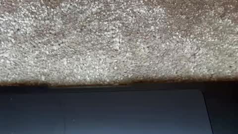 athena online show from 02-27-26, 09:15