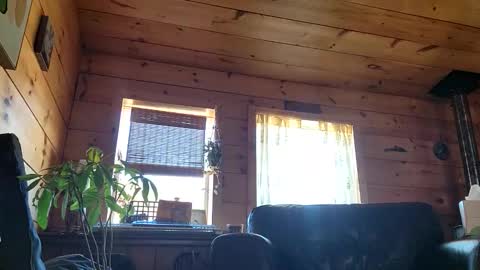 Snapshot of frederickory chatting on 03-01-26, 08:22 Anderson fz online show from 03-01-26, 08:22