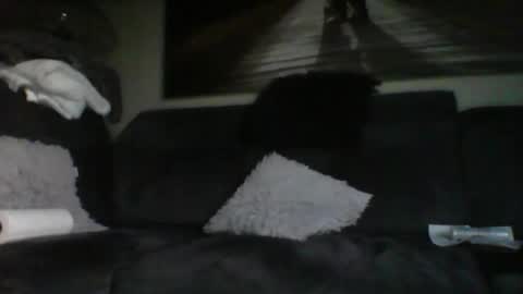 Snapshot of fredo76491 chatting on 10-31-25, 04:52 fredo76491 online show from 10-31-25, 04:52