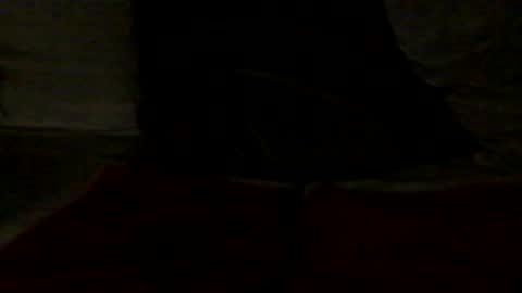 Snapshot of french_dick_20 chatting on 06-13-26, 06:06 french_dick_20 online show from 06-13-26, 06:06