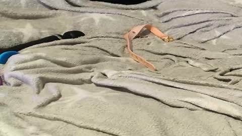 Meadow online show from 09-09-25, 11:26