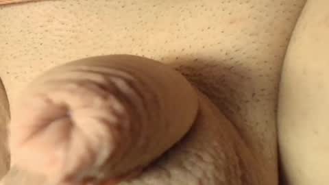 Meadow online show from 03-07-26, 10:56