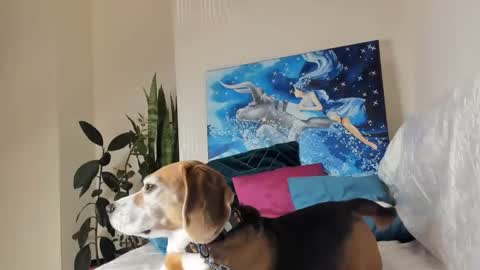 Snapshot of fuckingfairy chatting on 01-10-25, 01:21 Vicky online show from 01-10-25, 01:21